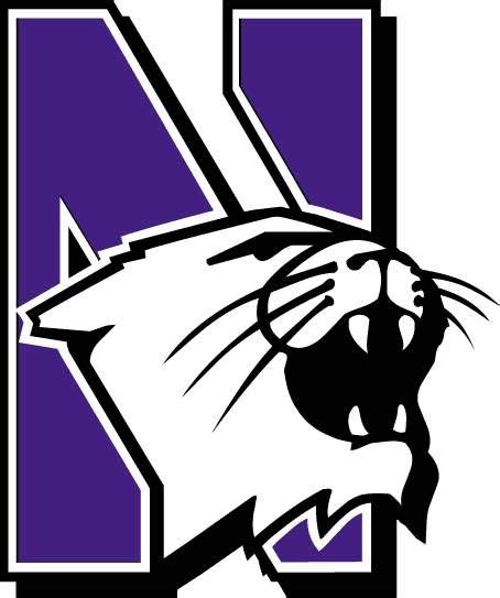 The Northwestern Wildcats Mascot: A Pivotal Figure in Halftime Entertainment